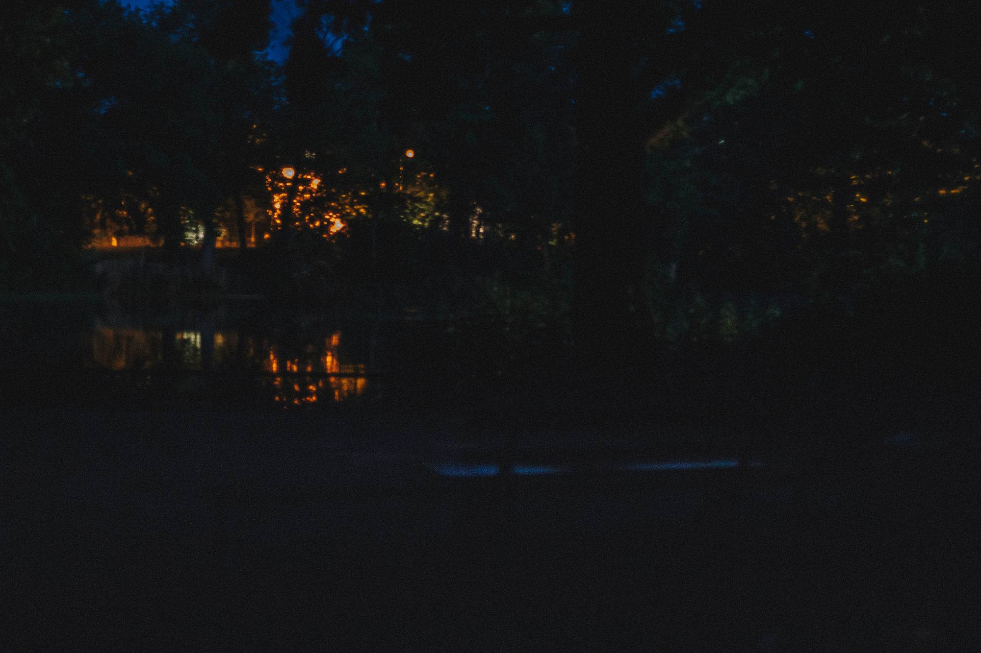 Nachts im Park